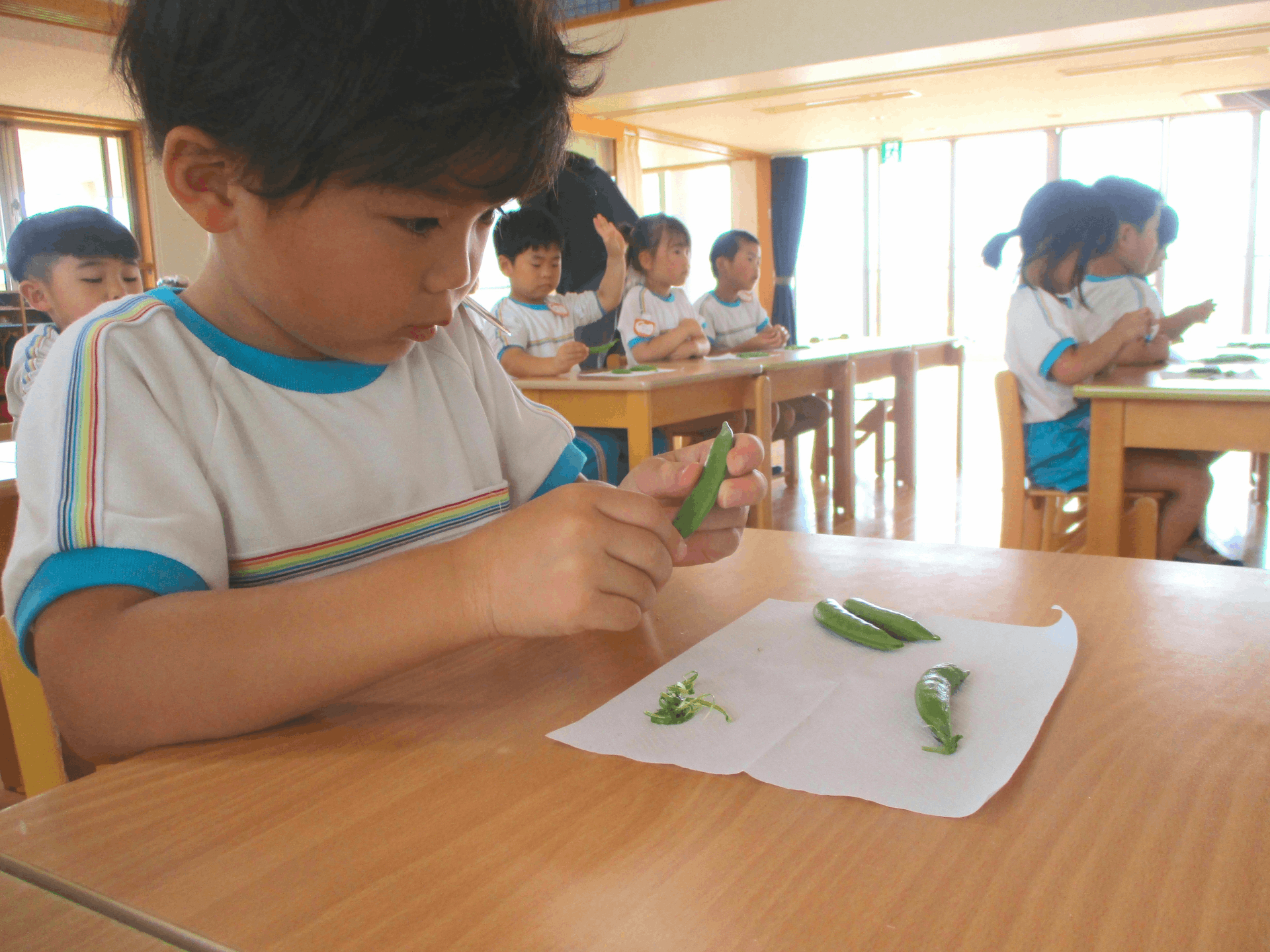 エンドウ豆を剥く園児